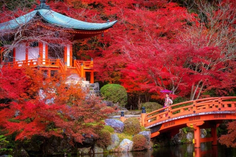 NHẬT BẢN - CUNG ĐƯỜNG VÀNG  NAGOYA – OSAKA – KYOTO – FUJI MOUTAIN – OSHINO HAKKAI - TOKYO
