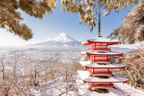 DU LỊCH NHẬT BẢN NGẮM HOA ANH ĐÀO NỞ SỚM OSAKA – KOBE - KYOTO – TOYOHASHI– NÚI PHÚ SĨ – TOKYO