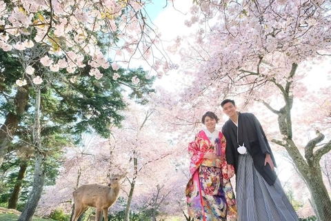 NGẮM HOA ANH ĐÀO NHẬT BẢN 2025 TOKYO- NÚI PHÚ SĨ-NAGOYA-KYOTO- OSAKA