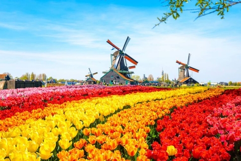 Tour Châu Âu: Trải Nghiệm 5 Nước Đức - Hà Lan - Luxembourg - Bỉ - Pháp