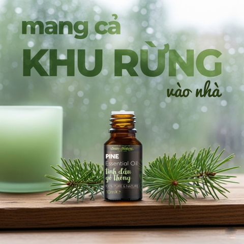 Tinh dầu gỗ thông