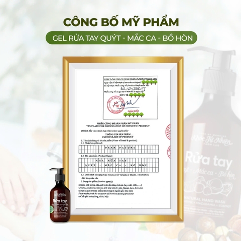 Gel rửa tay Ancare Quýt Macca Bồ hòn 300ml