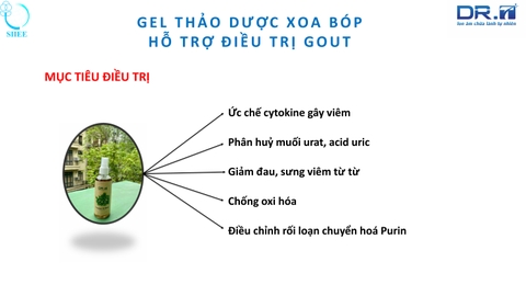 Máy khí châm ion âm DR.T Hồng ngoại
