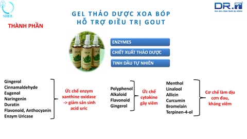 Tinh dầu ngải cứu DR.T