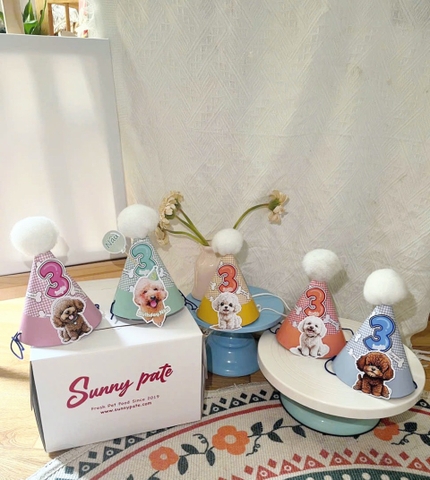 Nón sinh nhật / party cho phụ huynh - size M