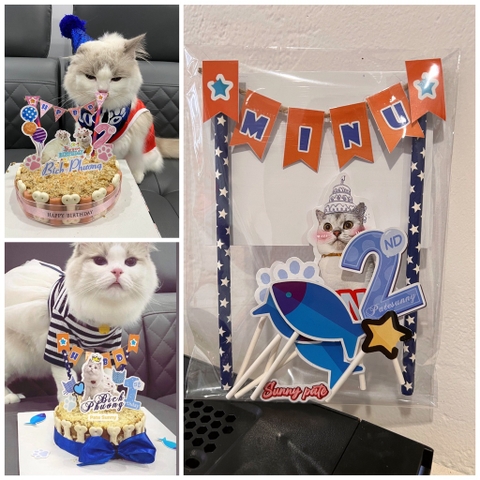 Bộ sticker trang trí bánh sinh nhật cho thú cưng