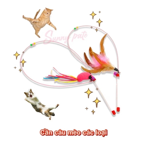 Cần câu đồ chơi vui nhộn cho mèo
