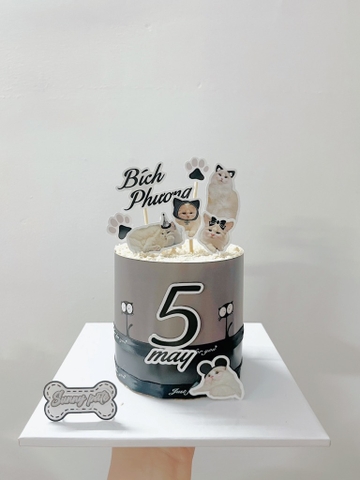 Bánh sinh nhật pate cho thú cưng - Bánh đơn H10cm