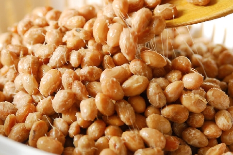 Tại sao nattokinase giảm mỡ máu?