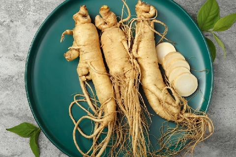 Người bị cao huyết áp có nên uống nhân sâm?