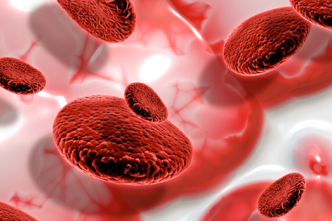 9 loại đồ uống giúp lưu thông mạch máu