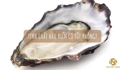 Tinh Chất Hàu Biển Là Gì? Tinh Chất Hàu Biển có tốt không?