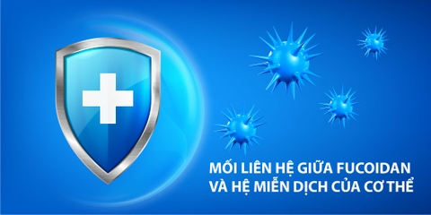 Uống Fucoidan bao lâu thì ngưng?