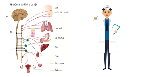 Rèn luyện ý chí thoát khỏi rối loạn thần kinh thực vật