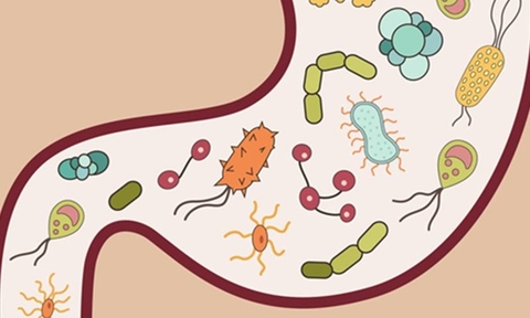 Triệu chứng rối loạn thần kinh thực vật ở hệ tiêu hóa