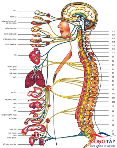 Những biểu hiện cần nhận biết sớm