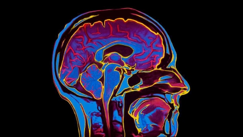 Nội thần kinh cần điều trị