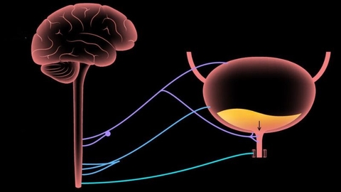 10 triệu chứng tâm thần nhẹ phổ biến và biểu hiện nguy hiểm cần chú ý