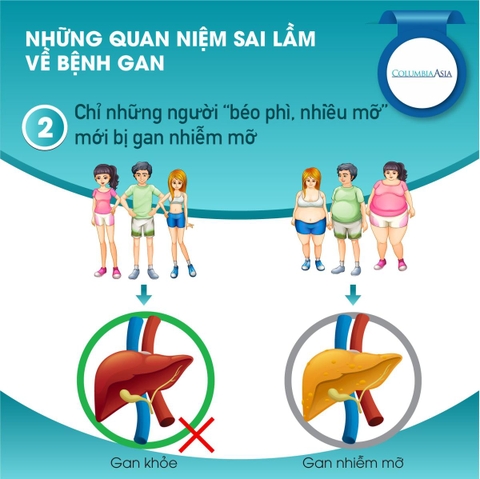 Nguyên nhân dẫn đến gan nhiễm mỡ