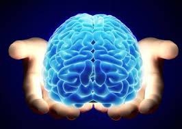 U não ác tính: Nguyên nhân, triệu chứng và cách điều trị