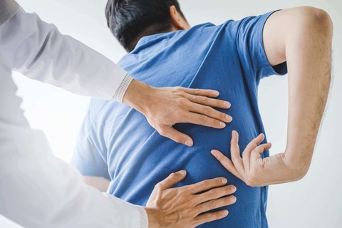 lá trị đau nhức xương khớp