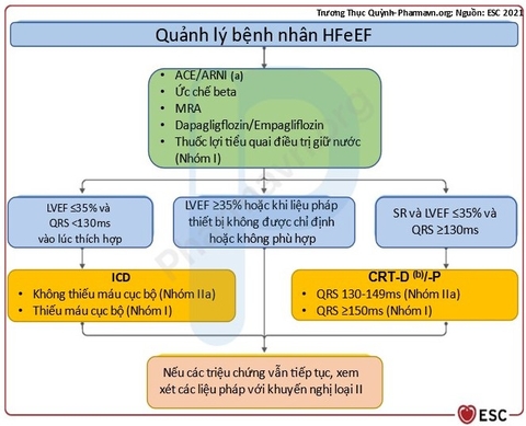 Hội Tim mạch châu Âu năm 2021 về chẩn đoán, điều trị suy tim cấp và mạn tính