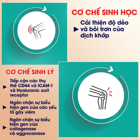 5 thói quen làm mất cơ nhanh hơn sau tuổi 40