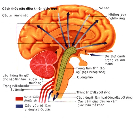 Thoái hóa hệ thần kinh trung ương