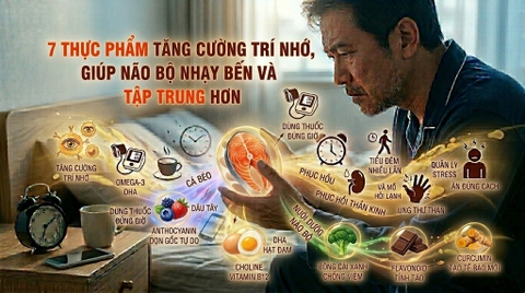 7 Thực Phẩm Tăng Cường Trí Nhớ, Giúp Não Bộ Nhạy Bén Và Tập Trung Hơn