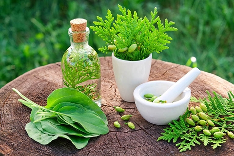 chữa thoát vị đĩa đệm