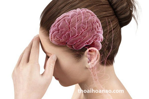 Bệnh về não| Tổng hợp các bệnh thường gặp nhất & dấu hiệu