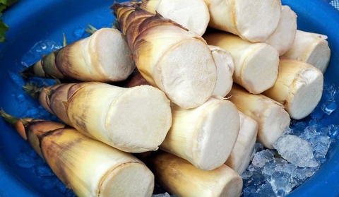 đau nhức xương khớp ăn măng có sao không