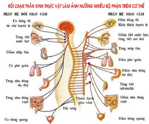 Rối loạn hệ thần kinh tự chủ: Nguyên nhân, chẩn đoán và cách điều trị