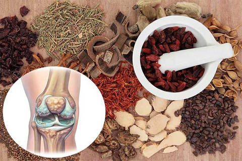 đau nhức xương khớp đông y
