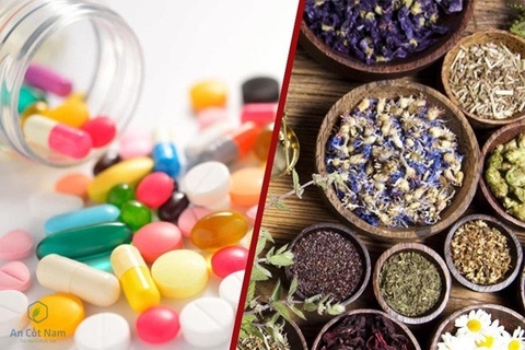 đau nhức xương khớp người già