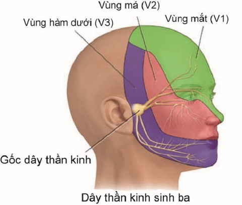 THẾ NÀO LÀ RỐI LOẠN LO ÂU? NGUYÊN NHÂN VÀ PHƯƠNG PHÁP ĐIỀU TRỊ?