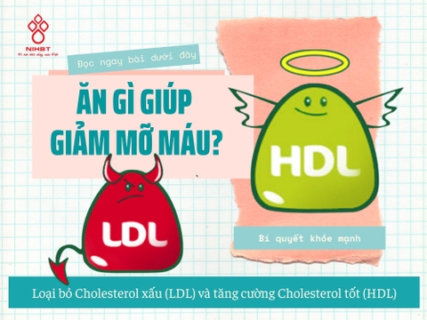 MÁU NHIỄM MỠ NÊN ĂN GÌ VÀ KIÊNG GÌ? 15 THỰC PHẨM CẦN NHỚ