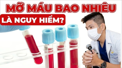 Xét Nghiệm Mỡ Máu Và Cách Đọc Chỉ Số