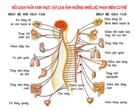 Rối loạn thần kinh là bệnh gì?