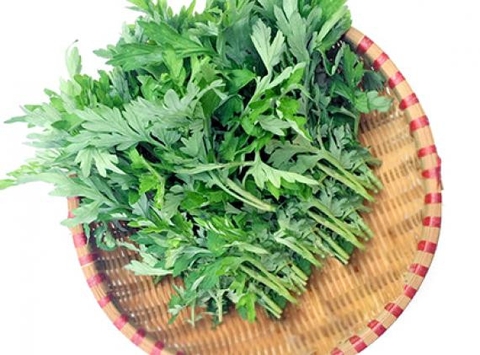 cây ngải cứu trị đau nhức xương khớp