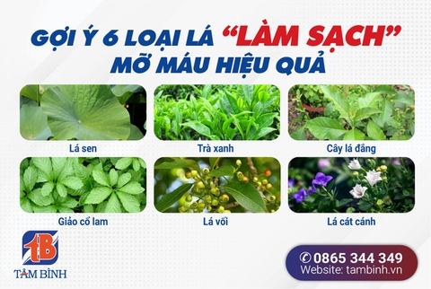 Uống nước gì để giảm mỡ máu? 8 gợi ý hiệu quả từ chuyên gia