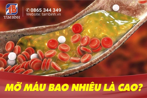 Tổng Quan Về Cholesterol (Mỡ Trong Máu)