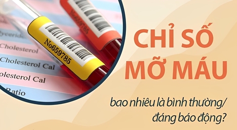 XÉT NGHIỆM MỠ MÁU LÀ GÌ? GỒM NHỮNG CHỈ SỐ NÀO?