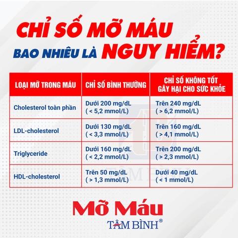MỠ MÁU BAO NHIÊU LÀ CAO VÀ CÁC THÔNG TIN LIÊN QUAN KHÁC