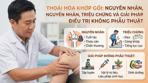 Thoái Hóa Khớp Gối: Nguyên Nhân, Triệu Chứng Và Giải Pháp Điều Trị Không Phẫu Thuật