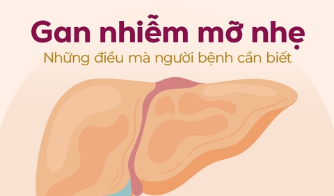 cách trị gan nhiễm mỡ