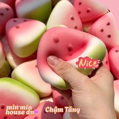 Squishy HT miếng Dưa Hấu Tươi Ngon