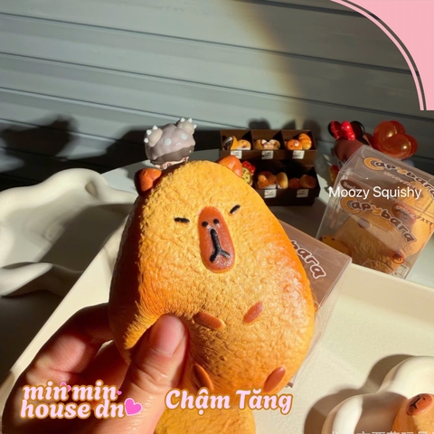 Mozzy squishy Bánh Nướng Capybara CH