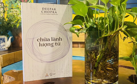 [Review Sách] Chữa lành lượng tử
