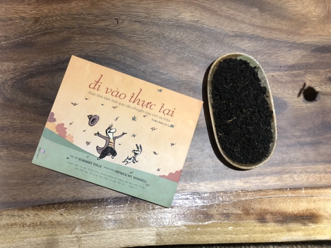 Combo Đi Vào Thực Tại và Món Quà Của Cái Chết